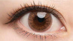 Dope Wink 1 day (Amber Brown)