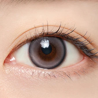 Mifée 1 day (Glacé Gray)