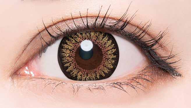 Dope Wink 1 month (Hazel Beige)
