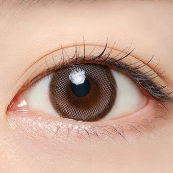 Mifée 1 day (Pure Beige)