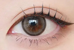 rom'u 1 day (sepia brown)